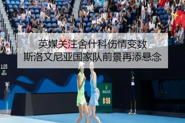 英媒关注舍什科伤情变数 斯洛文尼亚国家队前景再添悬念 | YYSports